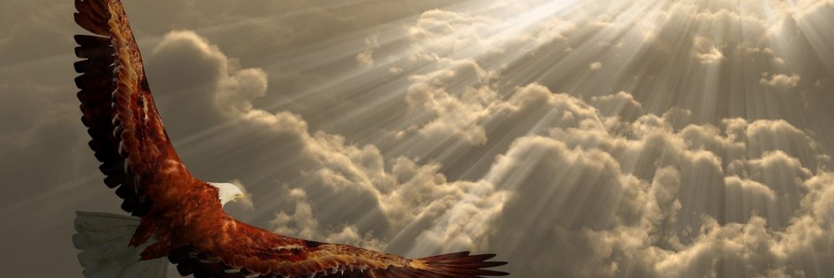 soniasofi1's profile banner image