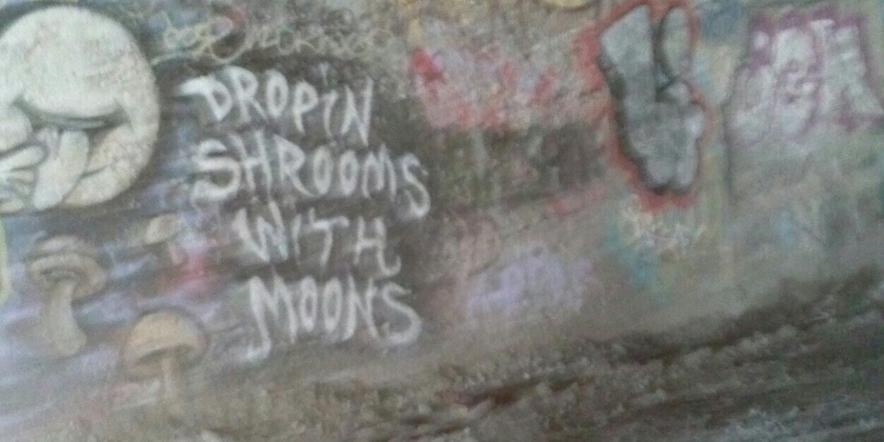 Neisha Sativa banner