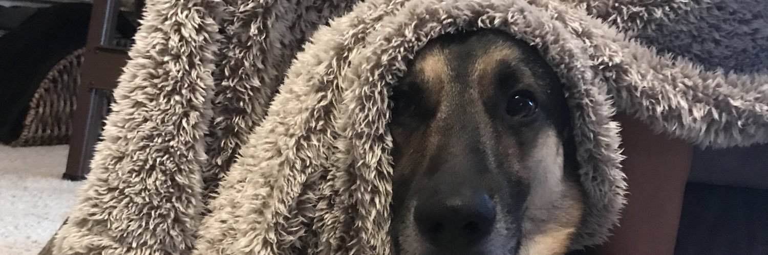 ohhhaleyyy's profile banner image