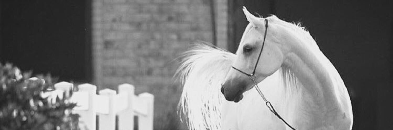 ‏بين الأمس والغد🗝 banner