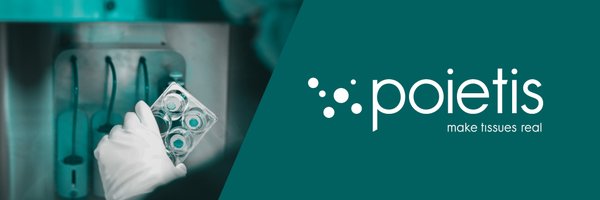 Poietis Profile Banner