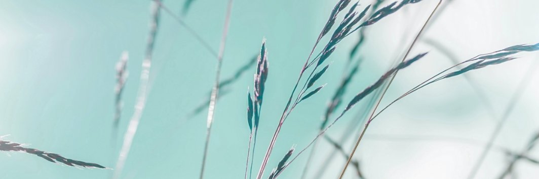 Manon van der Woude banner