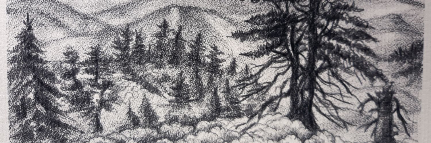 ferodrui's profile banner image