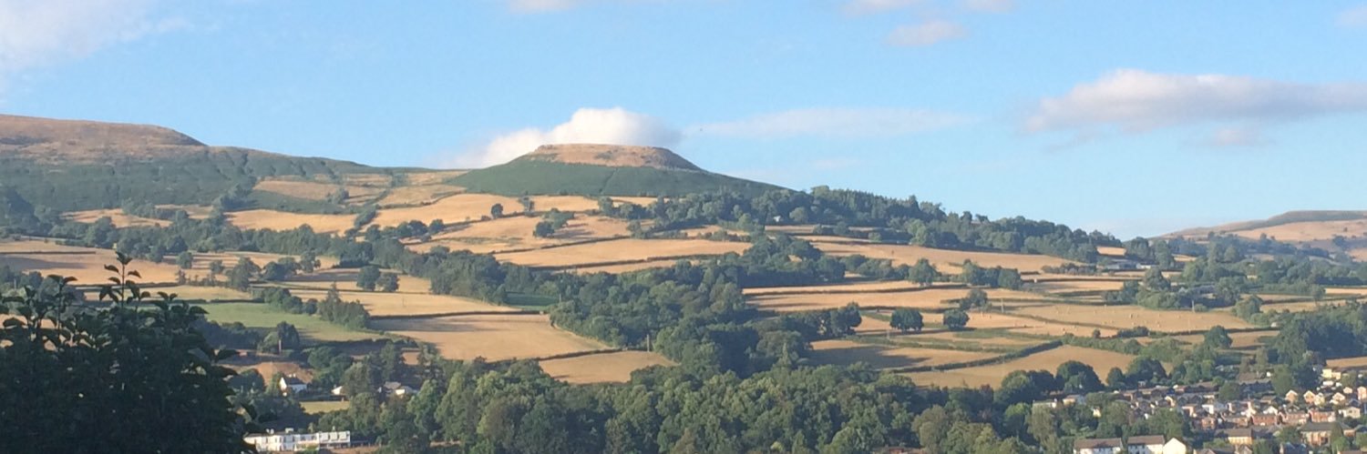 franphillips2's profile banner image