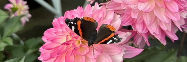 gordon_riggs Profile Banner