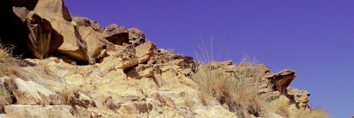 abdisuria's profile banner image