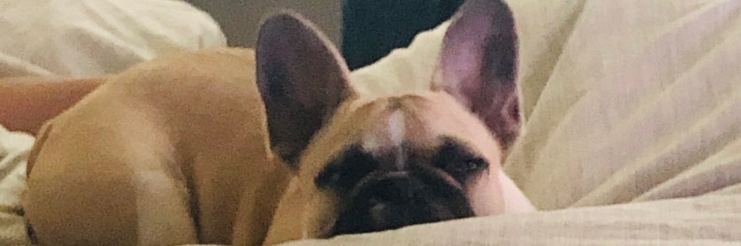 kathrineee_'s profile banner image