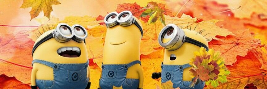 Nasmander's profile banner image