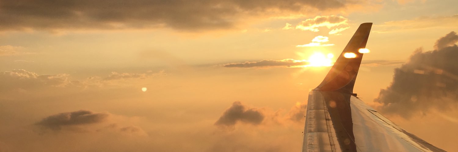 Allison Doughty banner