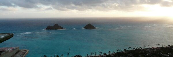 AttyforEarth Profile Banner