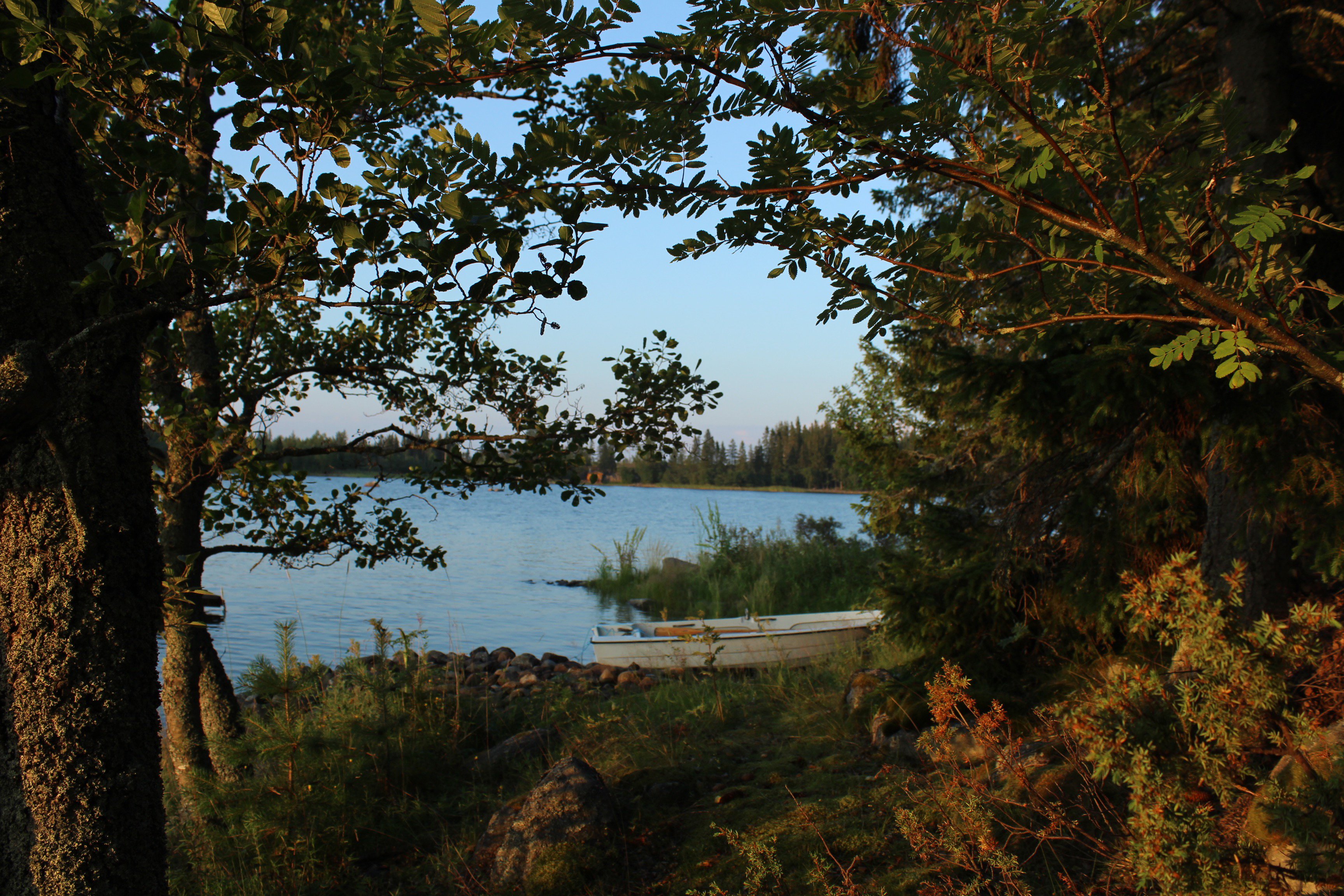 tsgmunro's profile banner image