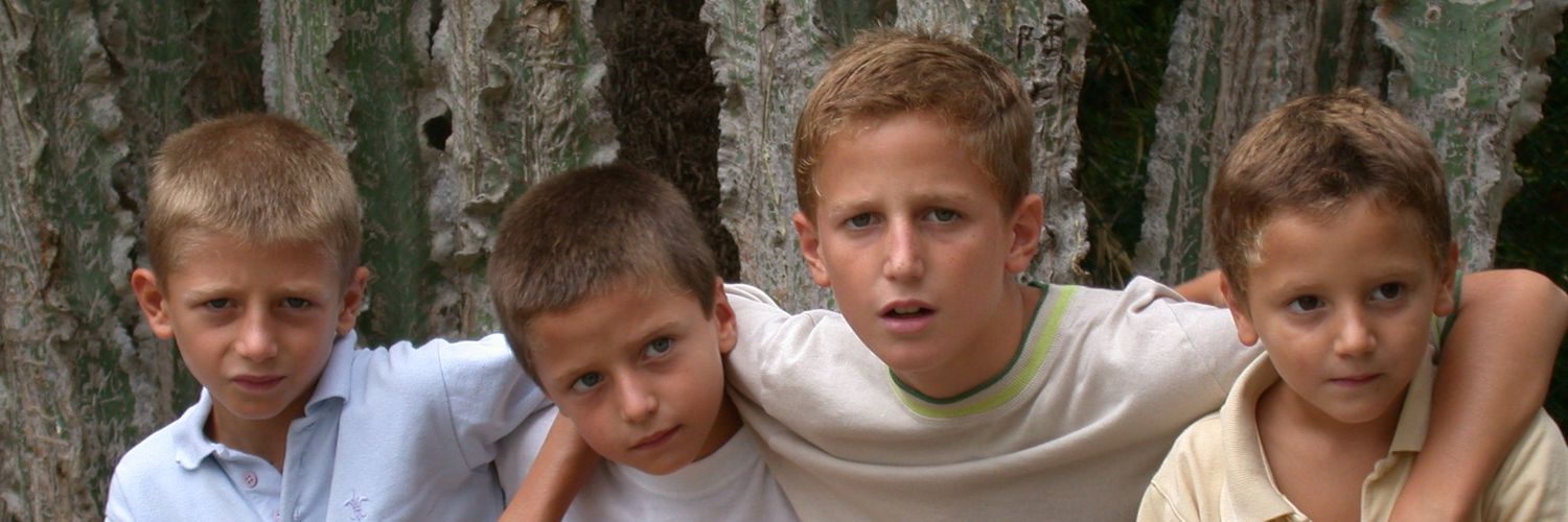 Fernando Rodes banner