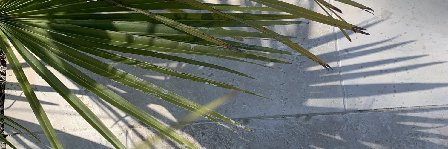 emiedey's profile banner image