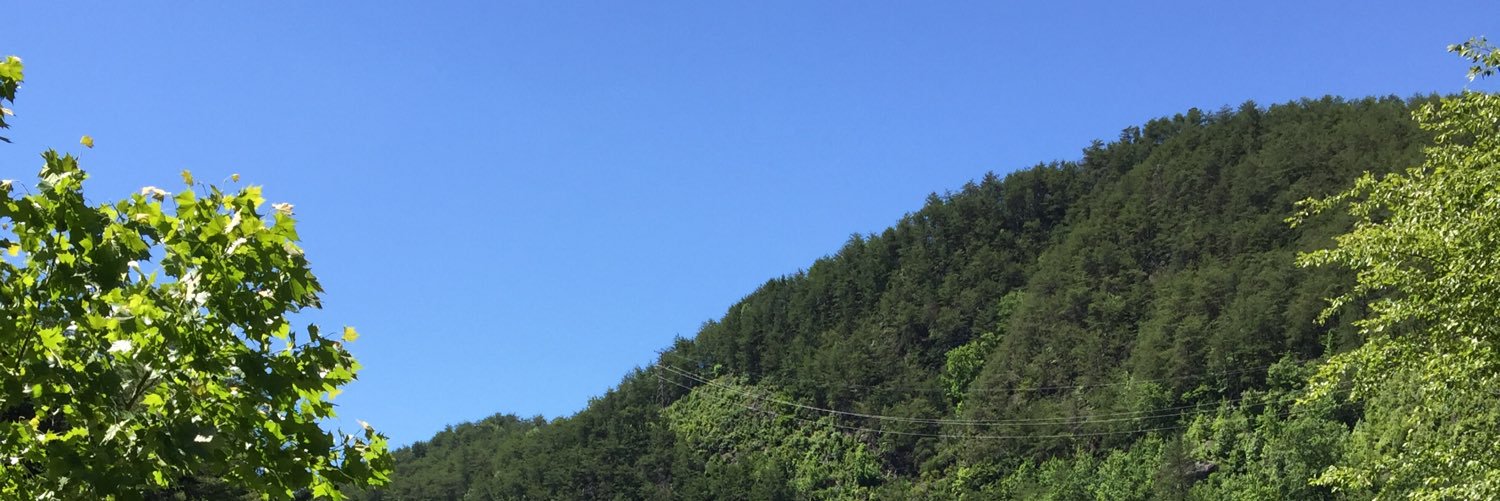 lucaschirps's profile banner image