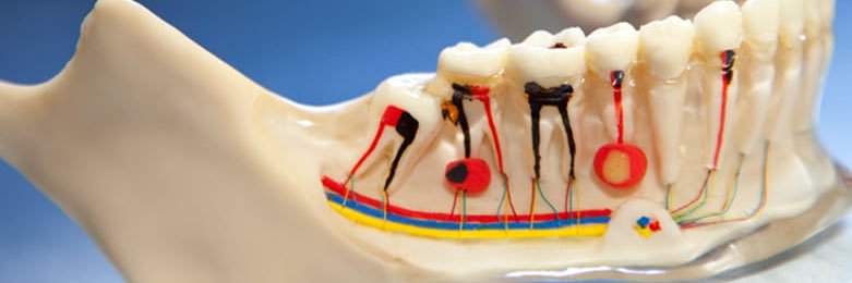 dentistmail's profile banner image