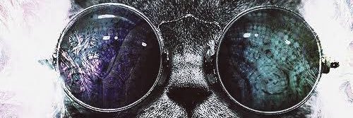 paul0sas's profile banner image