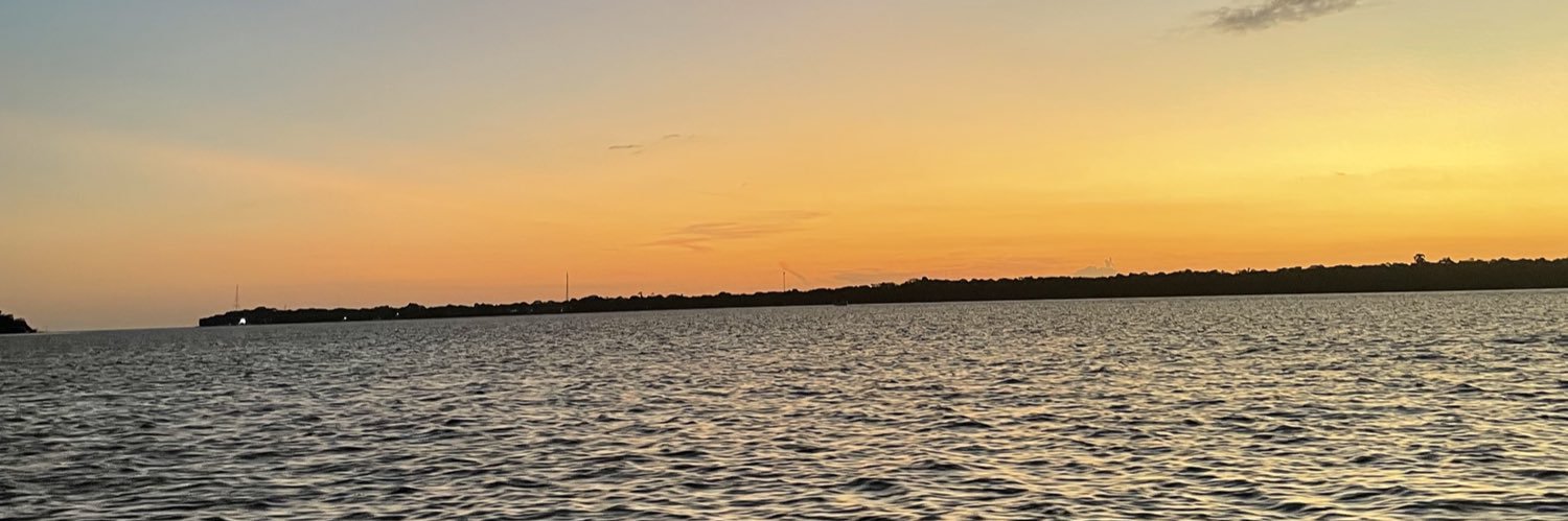 molecadoid4's profile banner image