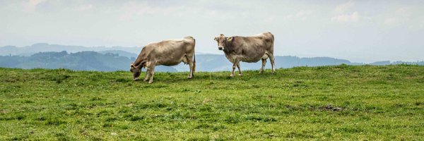 BioFrigas Profile Banner