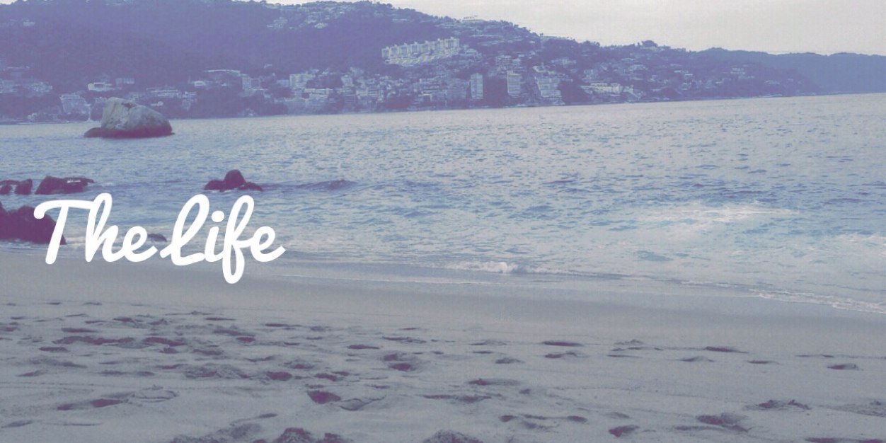 lidazz's profile banner image
