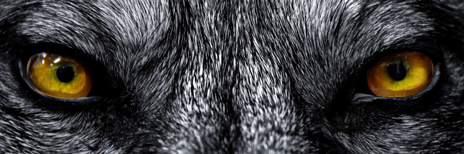 NotNotNNot's profile banner image