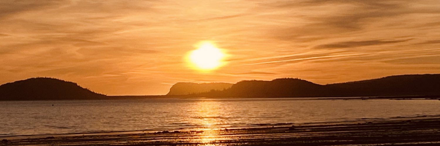 LadyHebb's profile banner image