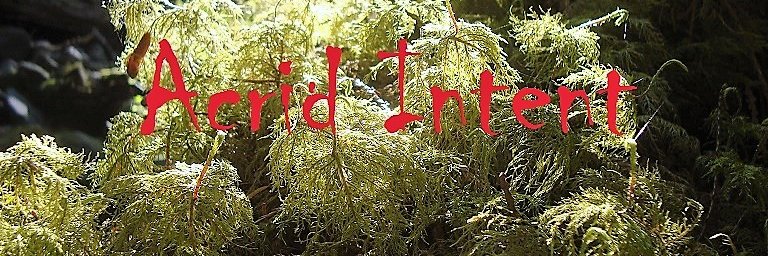 AcridIntent's profile banner image