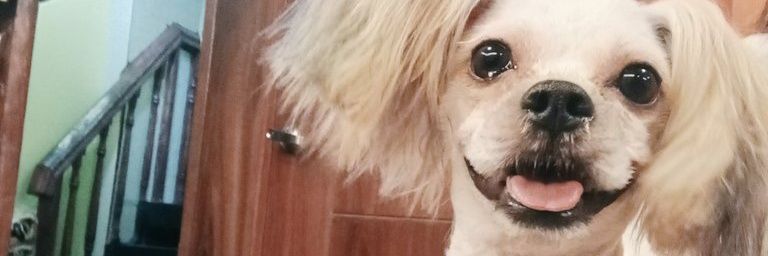 Psherrie's profile banner image