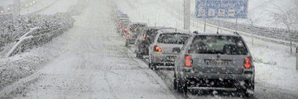 Cat_Meteo Profile Banner