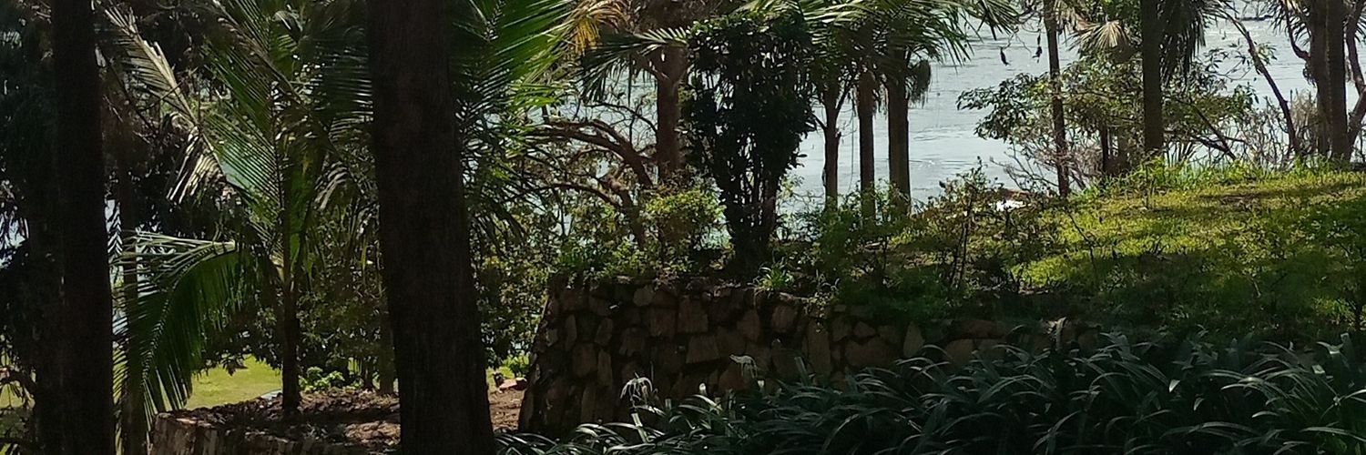 pkigongo's profile banner image