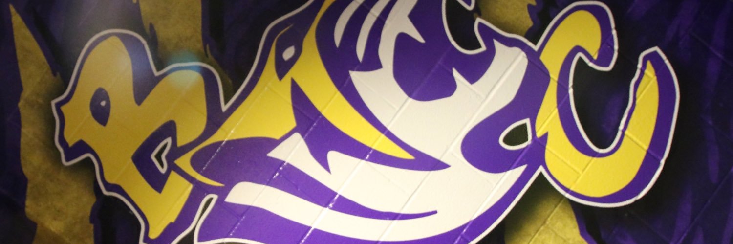 TheInvincible8's profile banner image