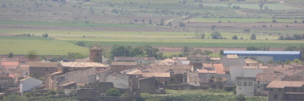 aytomelida's profile banner image