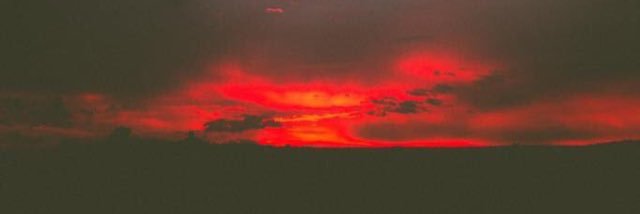 foxshoppe420's profile banner image