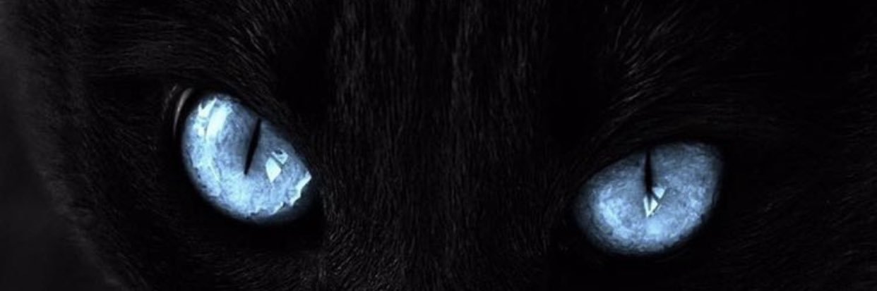 02_mishal's profile banner image