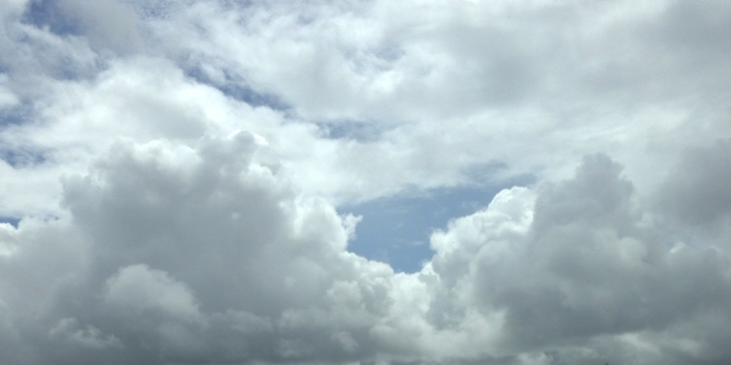 lshefer's profile banner image