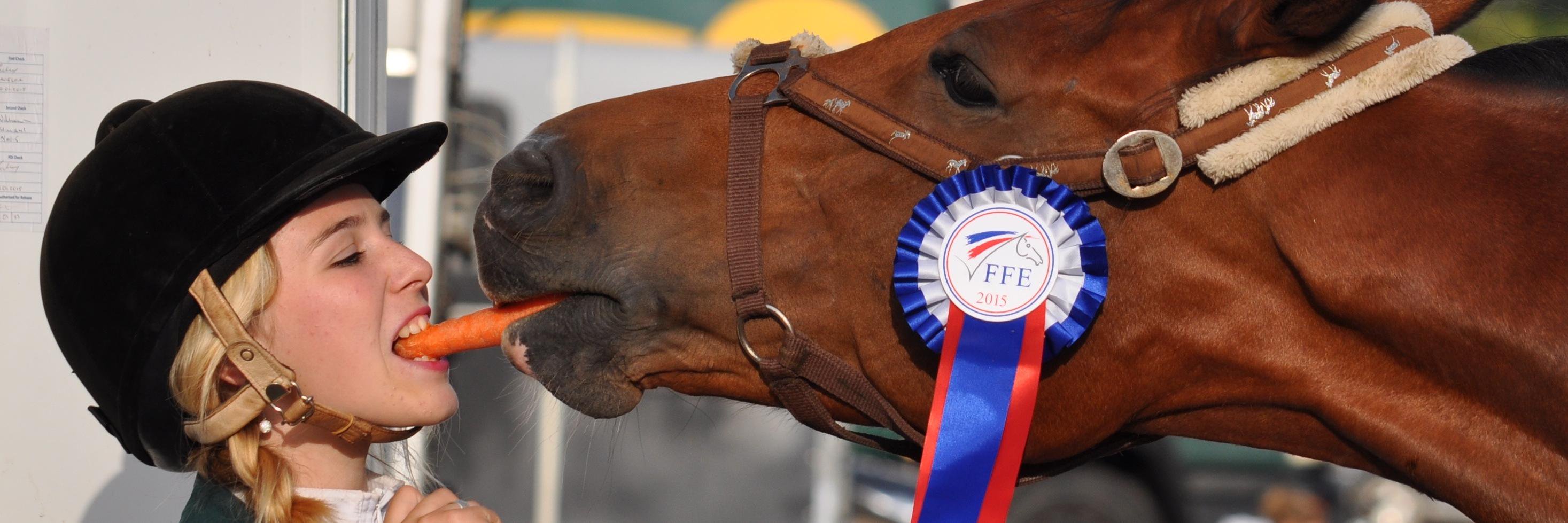 PlotMyTrot's profile banner image