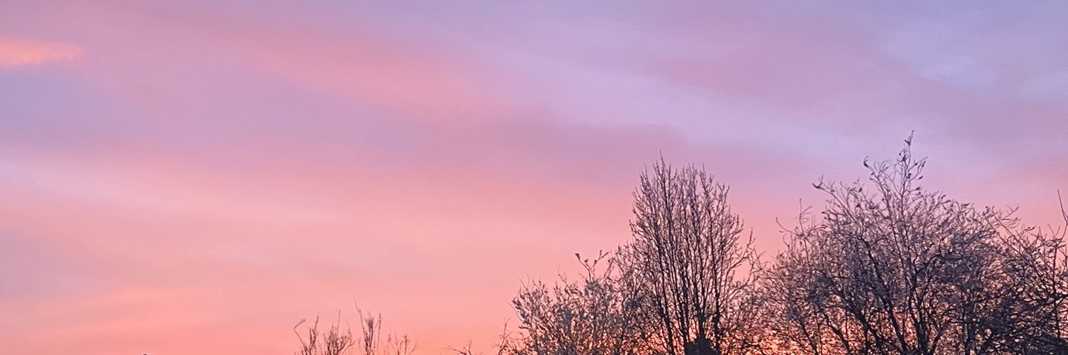 _laurahayward's profile banner image