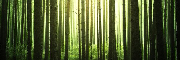 ForestryJournal Profile Banner