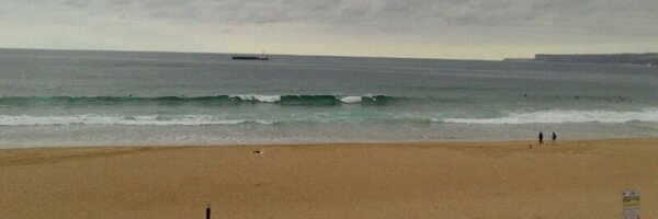 Areciosmith Profile Banner