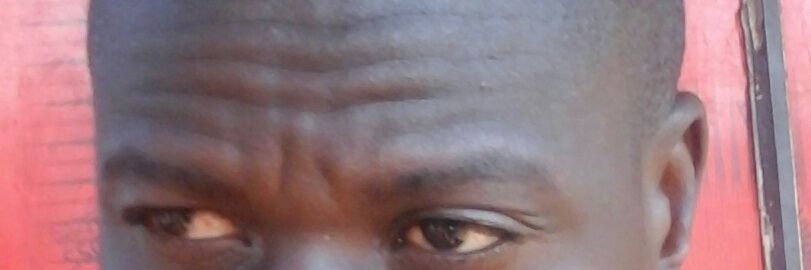 mudaulanganany's profile banner image