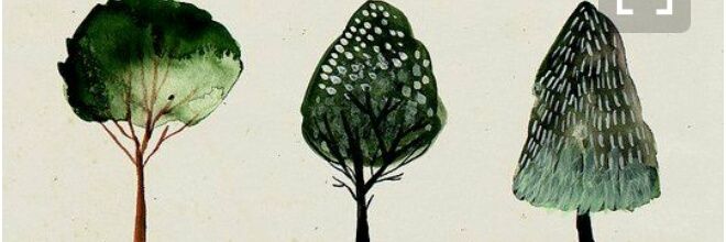 kevsergld's profile banner image