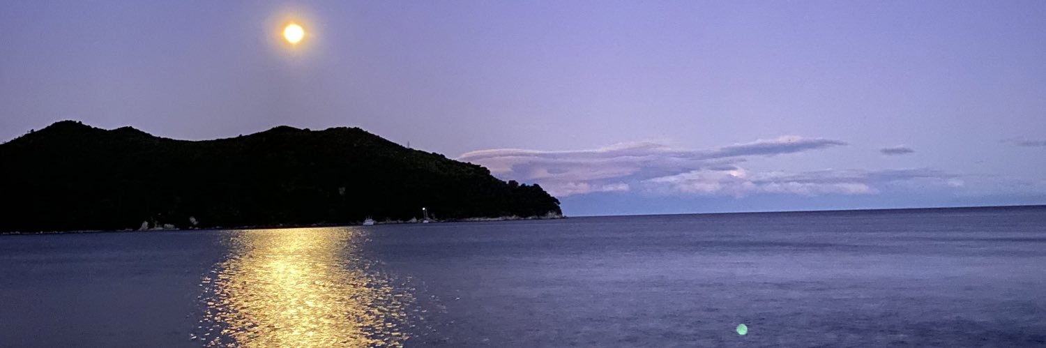 Nick Ippolito banner