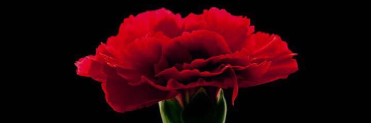khaleed7654's profile banner image