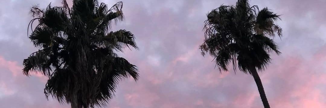 Carol Figueiredo banner