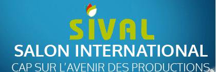 teamsival's profile banner image