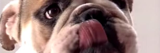wetb's profile banner image