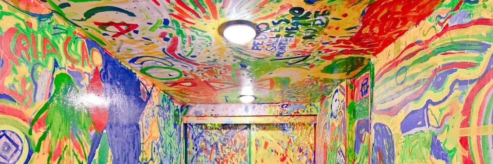 Laynna Feitoza banner