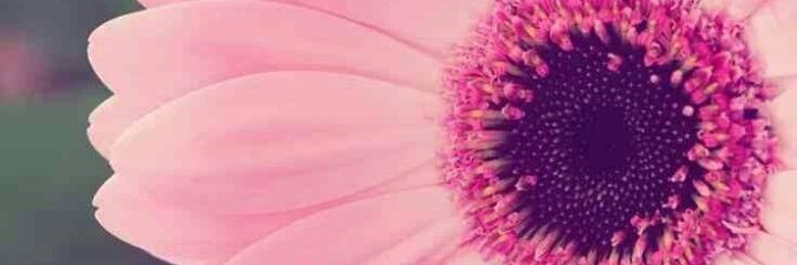 PNG95's profile banner image