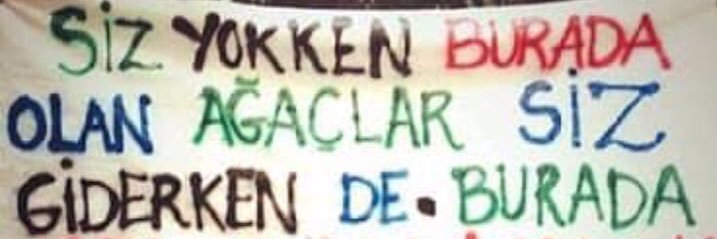 mergezer_25's profile banner image