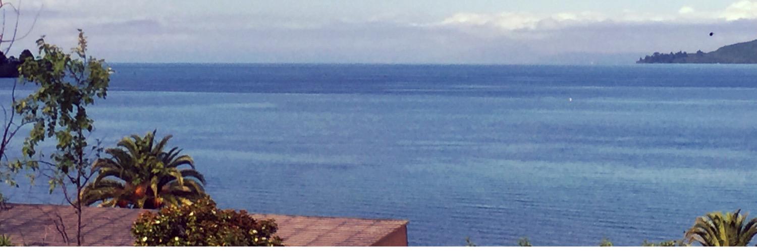 smplimmer's profile banner image