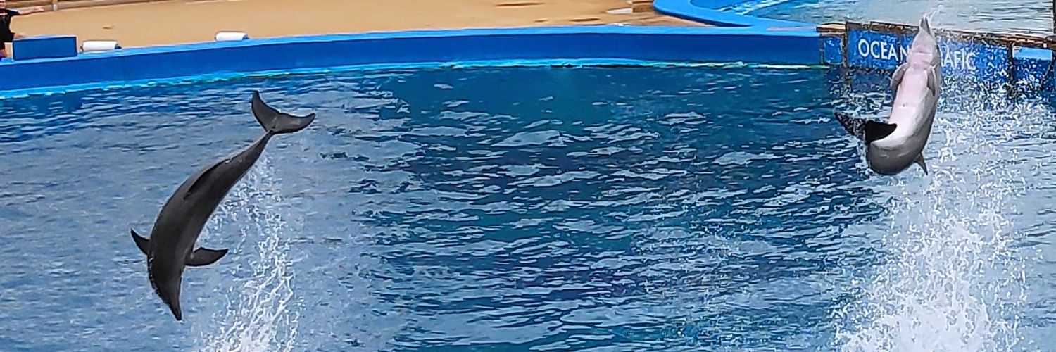 calmacorazones's profile banner image